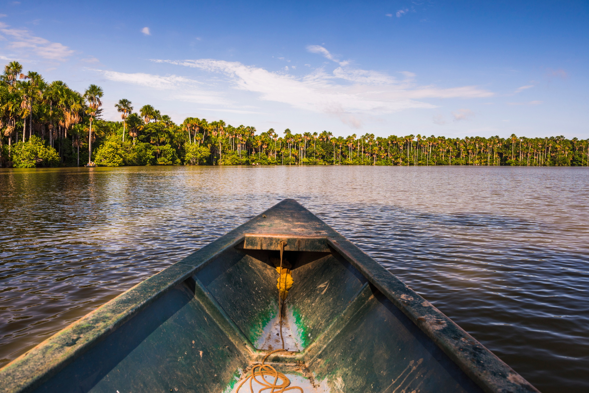 Canoe boat trip on Sandoval Lake, Tambopata National Reserve, Amazon Jungle of Peru, South America