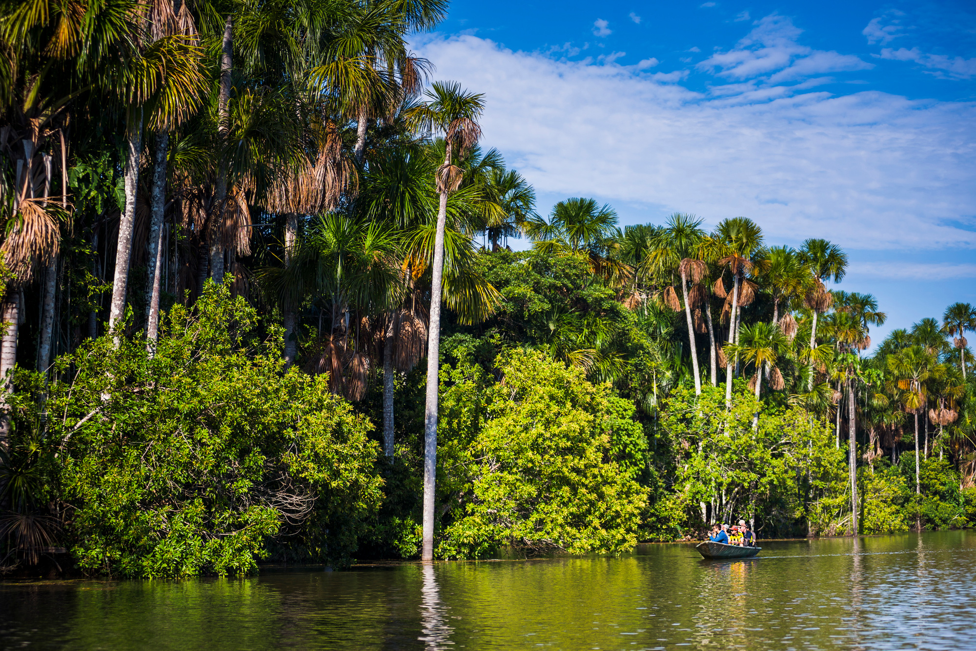 Canoe boat trip on Sandoval Lake, Tambopata National Reserve, Amazon Jungle of Peru, South America