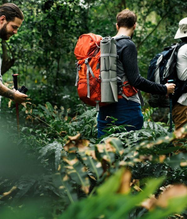 Hikers trekking in a forest together