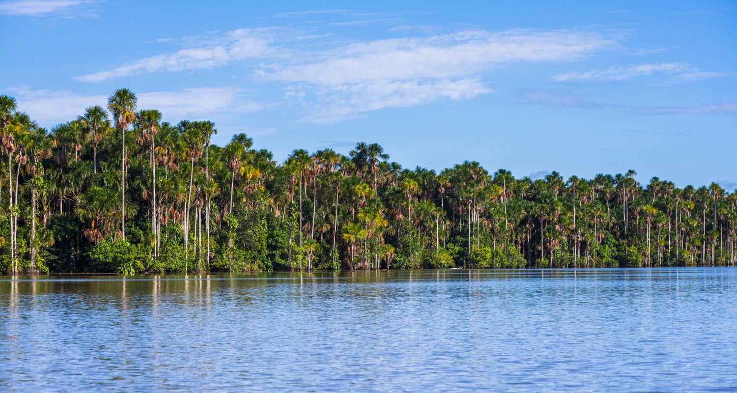 Sandoval Lake, Tambopata National Reserve, Tambopata Province, Amazon Jungle of Peru, South America