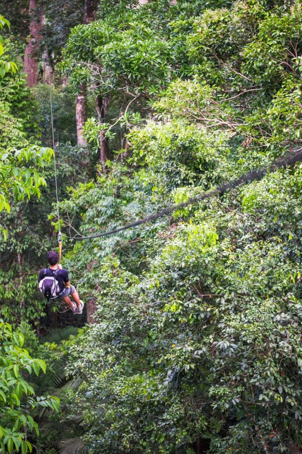 Zip lining on a zip line in Amazon Jungle of Peru on an adventure and adrenaline holiday vacation to